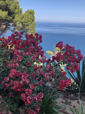 Jardíns de Cap Roig by null