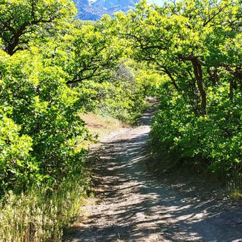 Peak View Trail - Mountain Biking Near Me