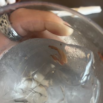 Donna Kaye's Cafe - bug in water - American Near Me - Bakersfield, California Donna Kaye's Cafe - bug in water - American Near Me - Bakersfield, California