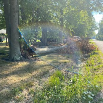 Top Notch Trees - Tree Services Near Me