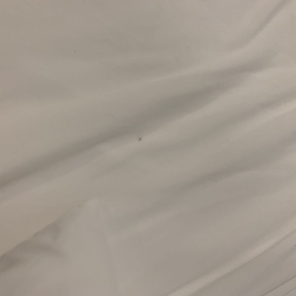 Lakeside Getaway - Dirty and stained bedding on both beds - Hotels Near Me - Flint, Texas Lakeside Getaway - Dirty and stained bedding on both beds - Hotels Near Me - Flint, Texas