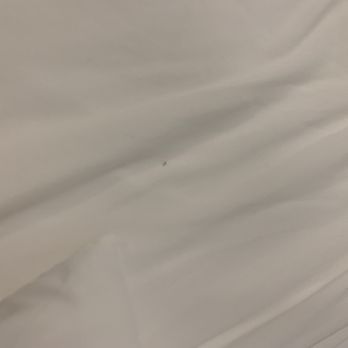 Lakeside Getaway - Dirty and stained bedding on both beds - Hotels Near Me - Flint, Texas Lakeside Getaway - Dirty and stained bedding on both beds - Hotels Near Me - Flint, Texas