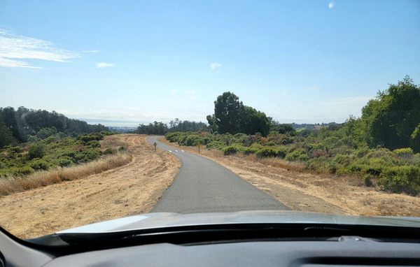 Anthony Chabot Regional Park by null