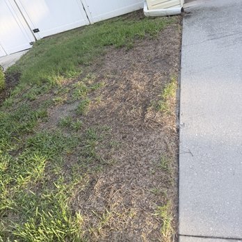 Turner Pest Control - Pest Control Near Me - Sarasota, Florida Turner Pest Control - Pest Control Near Me - Sarasota, Florida