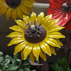 Freeland Ace Hardware - Unique products