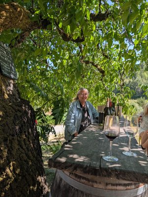 Porter-Bass Winery by null