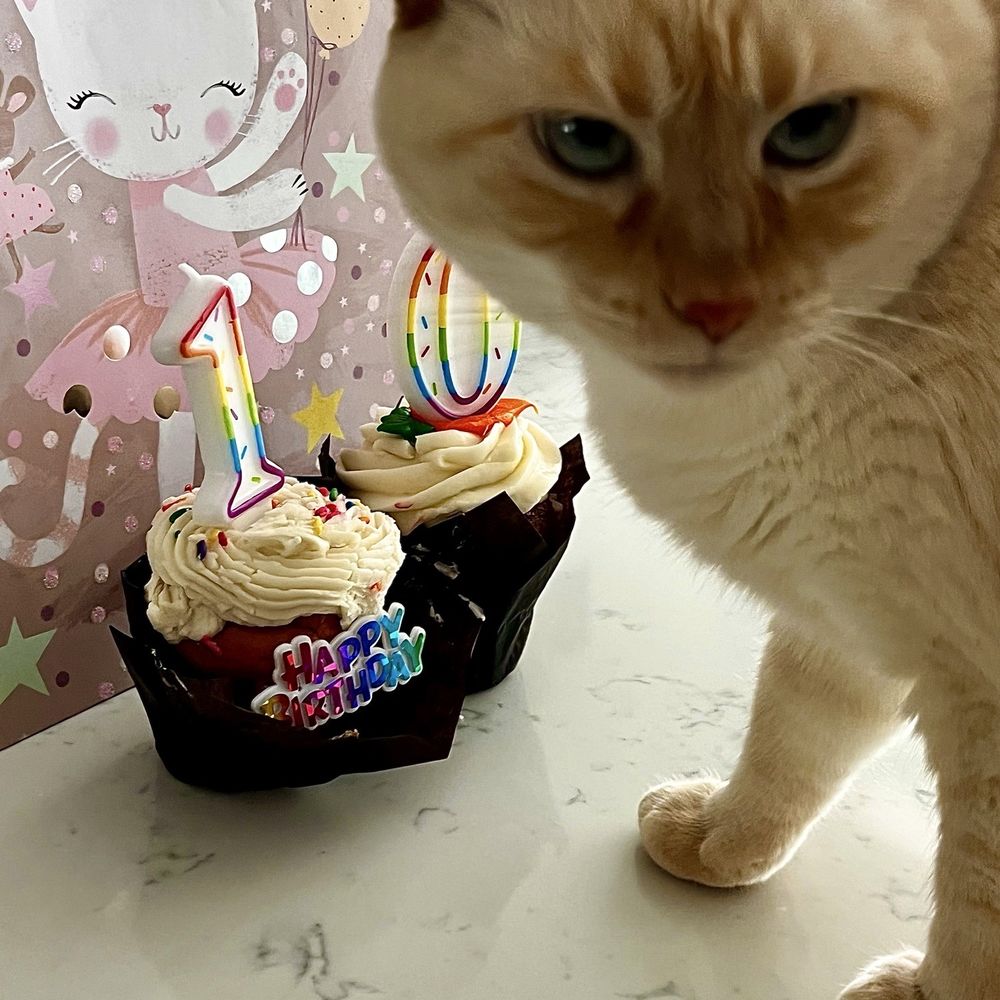 Lolie is 10!