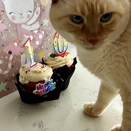Lolie is 10! Lolie is 10!