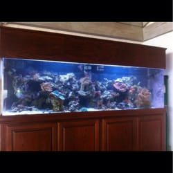 AquatiCustoms - 1,000 gallon saltwater reef aquarium