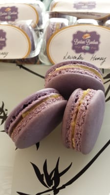 Boston Bonbon by null