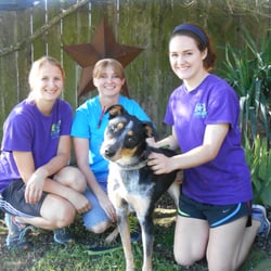 J-Canine Pet Resort