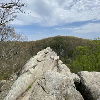 Rocks State Park  - Parks Near Me - Jarrettsville, Maryland