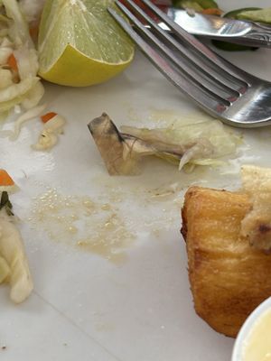 La Flor Blanca by null