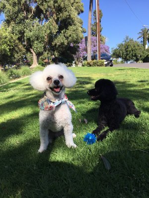 Harold A Henry Park by null