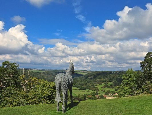 Rievaulx Abbey by null