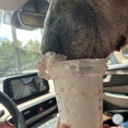 Dog loving his Starbucks whip cream!!!