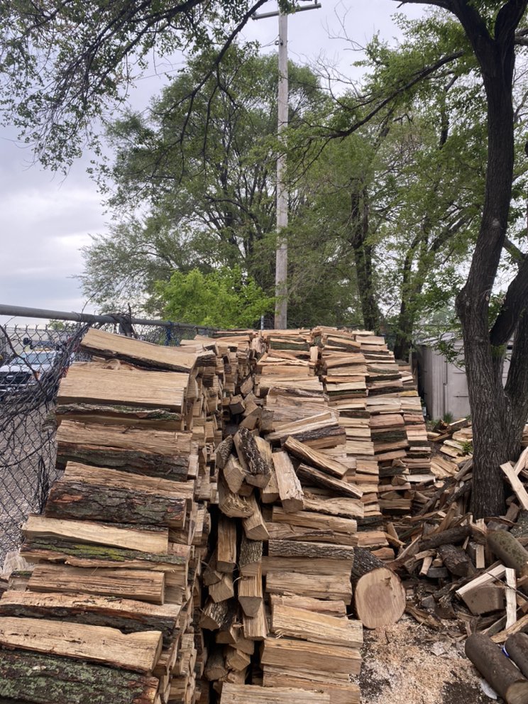 Jose's Tree Service - tree service in Chicago, IL