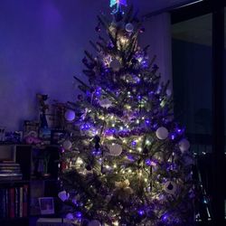 Payne Christmas Trees - Fraser Fir decorated (Purple Ravens themed)