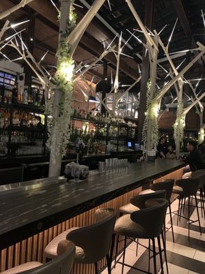 Understory Bar by null