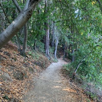 Villa Montalvo - Hiking Near Me - Saratoga, California Villa Montalvo - Hiking Near Me - Saratoga, California
