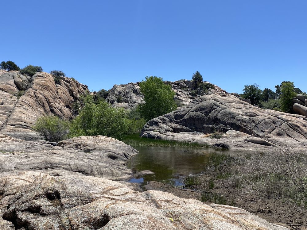 Social spots from Willow Lake