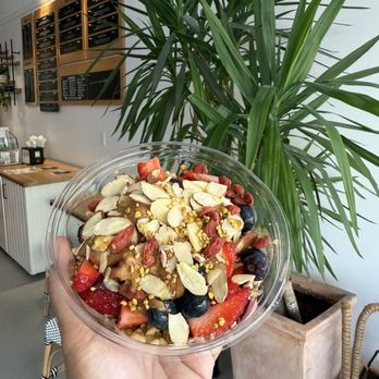 Palm Açai Café - The Gatherer Bowl Regular - Cafes Near Me - Berkeley, California Palm Açai Café - The Gatherer Bowl Regular - Cafes Near Me - Berkeley, California