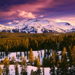 Nancy Davidson - Mammoth Country Real Estate - Mammoth Mountain. Photo by Alan Barlow