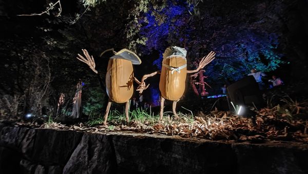 The Great Jack O’Lantern Blaze: Hudson Valley by null