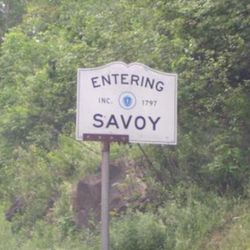 Savoy Mountain State Forest - Entering Savoy with a stand on the side.