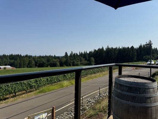 Hawks View Winery by null