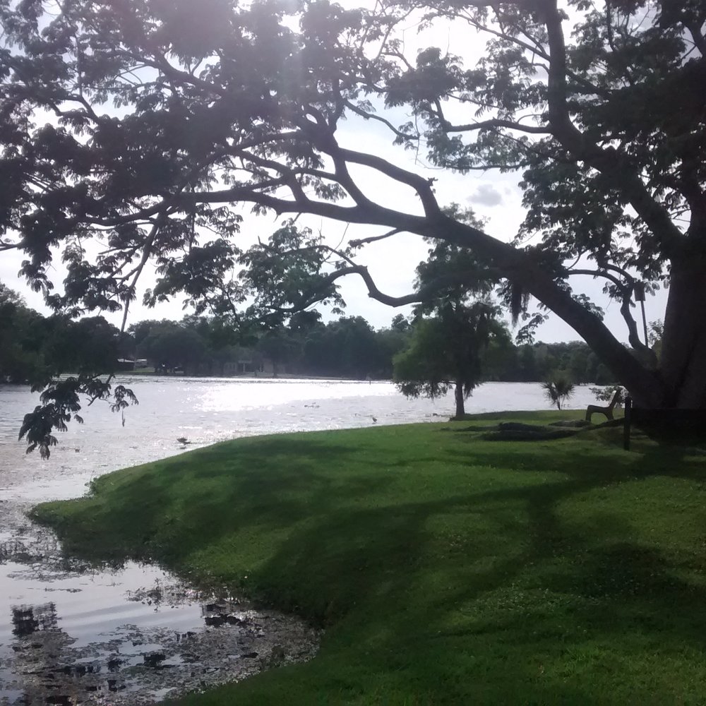 Riverhills Park - Parks Near Me - Tampa Bay, Florida Riverhills Park - Parks Near Me - Tampa Bay, Florida