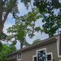 Photo of Frank Jastrabek's Tree Service Experts
