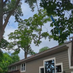 Frank Jastrabek's Tree Service Experts