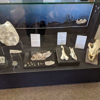 Hagerman Fossil Beds National Monument - Museums Near Me - Hagerman, Idaho
