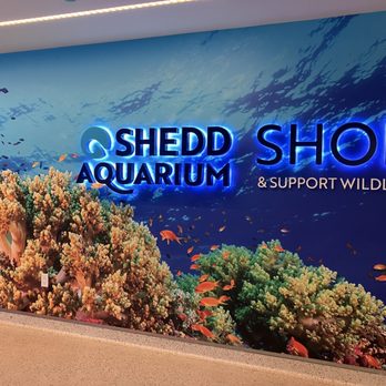 Shedd Aquarium - Aquariums Near Me - Chicago, Illinois