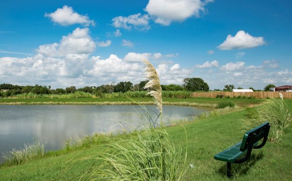 The Preserve at Oyster Creek