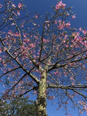 Orlando Farmers' Market by null