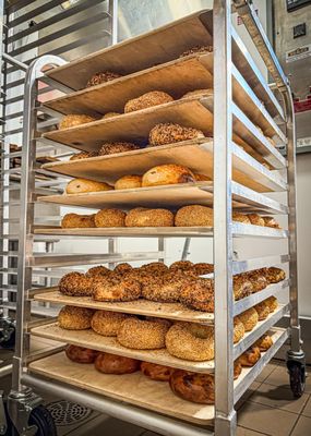 Fantzye Bagels by null