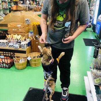 Bentley's Pet Stuff - Pet Stores Near Me - Chicago, Illinois