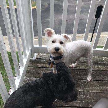 PetSmart - Pet Stores Near Me - Chester, Virginia