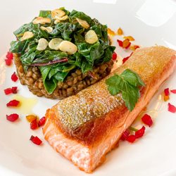 Pike to Plate - King Salmon with Swiss Chard and Braised Lentils du Puy