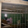 Photo of Alcatraz Bar