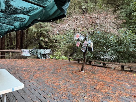 Henry Miller Memorial Library by null