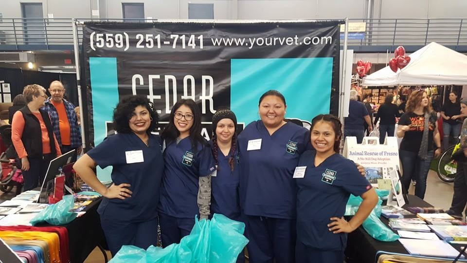 cedar veterinary clinic