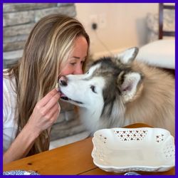 Pet Sitters of Weddington