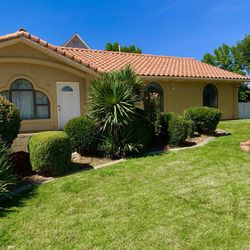 Desert Star Landscaping - Our yard was covered with weeds had gotten out of control. I wish I would have taken a before pic to show the drastic difference!