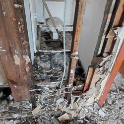 Fiesta Motel - More black mold