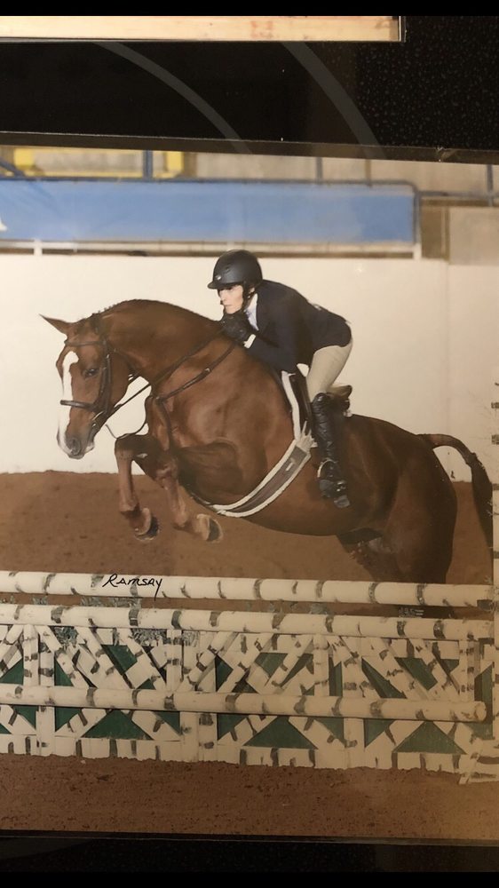 Pam Herman Farms - equestrian in Chesapeake, VA