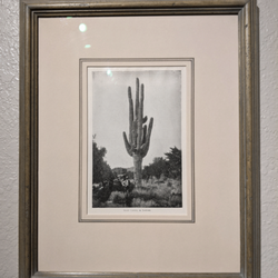 Stafford Framing - Past Projects