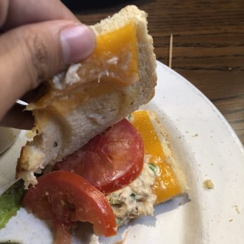 Mimi's Cafe - Pathetic tuna melt. Not even melted. Cold tuna as well. - Breakfast & Brunch Near Me - Corona, California Mimi's Cafe - Pathetic tuna melt. Not even melted. Cold tuna as well. - Breakfast & Brunch Near Me - Corona, California